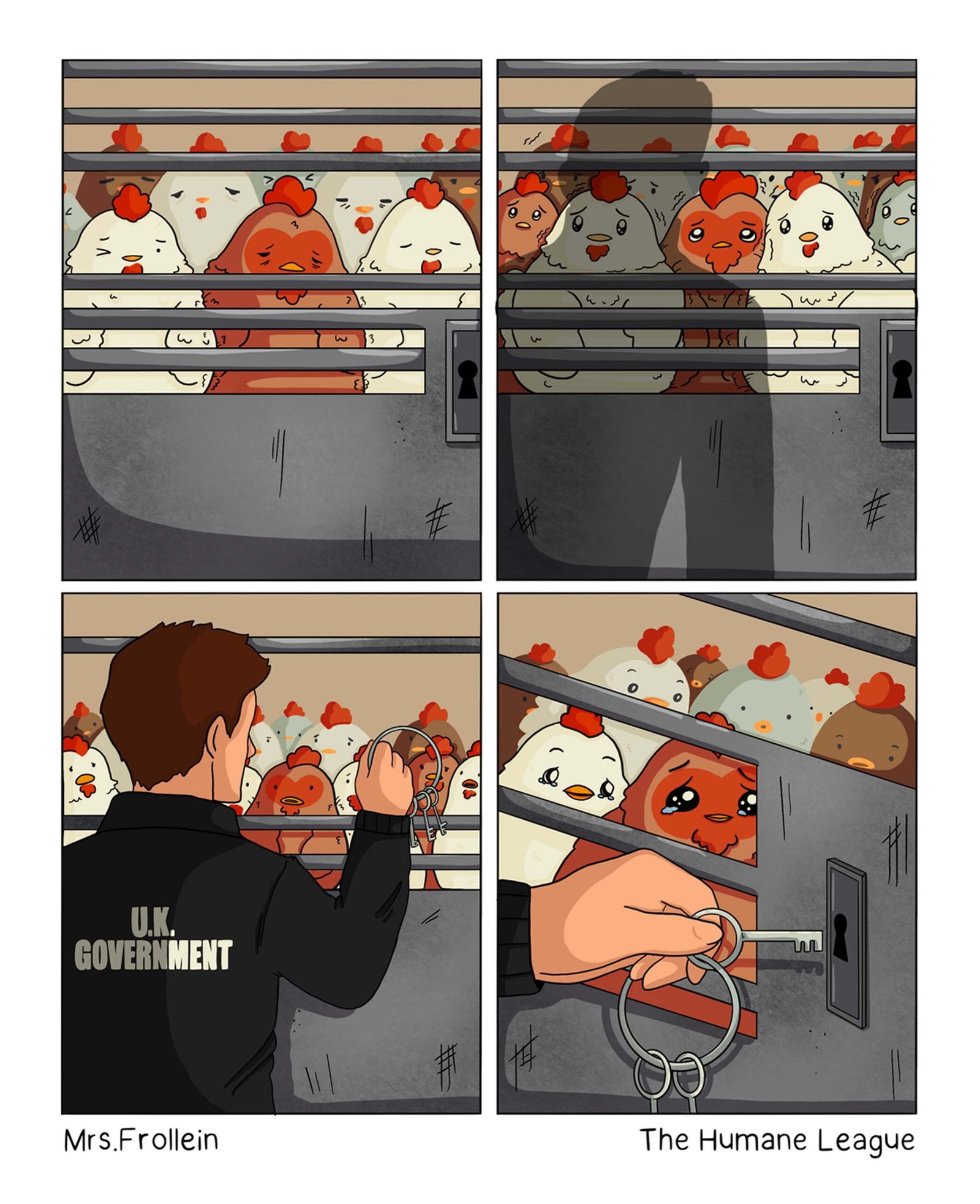 Cages