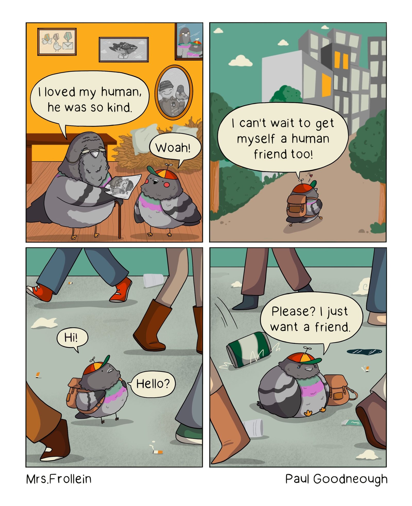 Pigeon